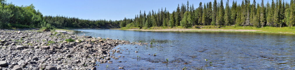 Panorama of the wild river.