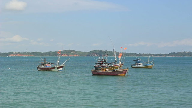 several fishing boats in the bay