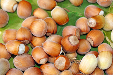 Hazelnuts close-up as background