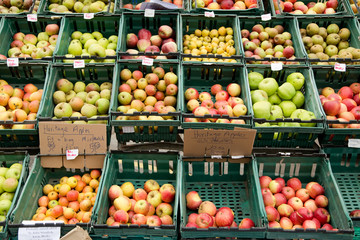 Fototapeta na wymiar selection of apples