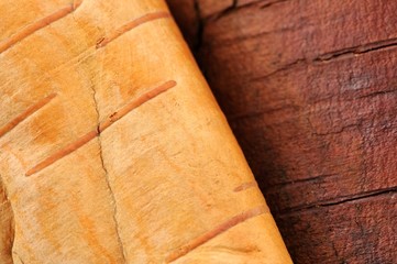 Birch Log and Bark