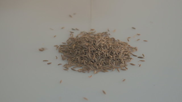 mortar and herb spices