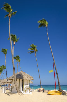 Exotic coast of the Caribbean islands with high palm trees