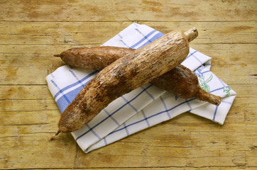 Manihot esculenta Manioc Yuca Manioca Expo Milano 2015