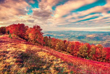 Colorful autumn sunrise in the mountains.