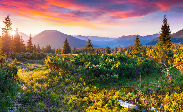 Dramatic summer sunset in the Carpathian mountains.