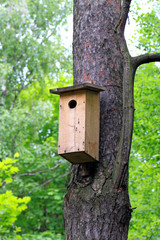 house for birds