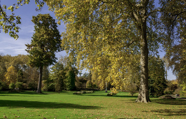 Obraz premium Autumn landscape