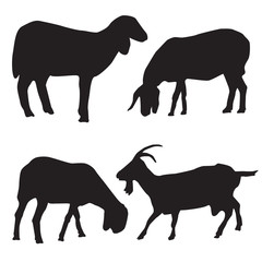 Sheep and goat silhouettes vector