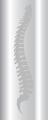 Backbone