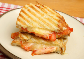 Toasted Sandwich with Cheese & Tomato