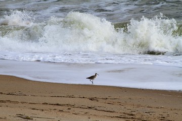 St. Augustine beach