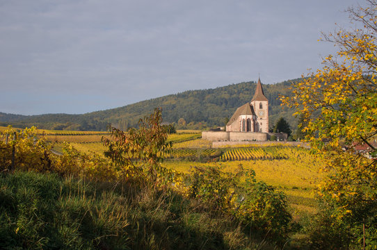 Eglise fortifiée dans les vignes en Automne sous l'orage