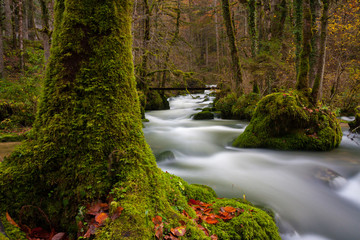 Doubs - Cascade - Cirque des Consolations