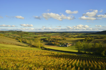 La vall&eacute;e de V&eacute;zelay (89450), d&eacute;partement de l'Yonne en r&eacute;gion Bourgogne-Franche-Comt&eacute;, France