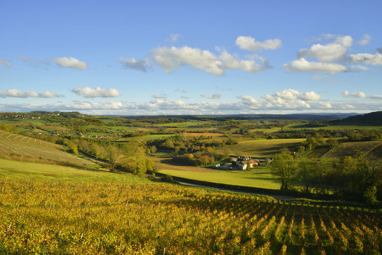 La vall&eacute;e de V&eacute;zelay (89450), d&eacute;partement de l'Yonne en r&eacute;gion Bourgogne-Franche-Comt&eacute;, France