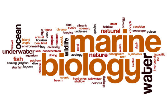 Marine Biology Word Cloud