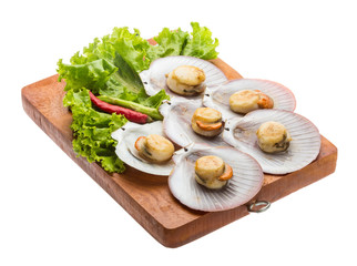 Grilled scallops