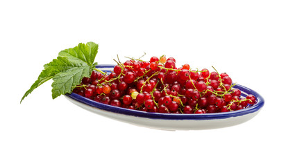 Red currant