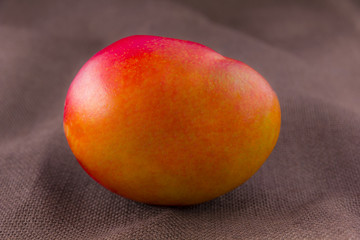 Mango fruit isolated on brown background