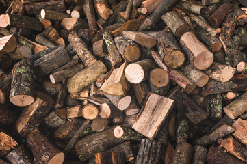 Firewood in a piece of wood stored on the stack, hands holding a