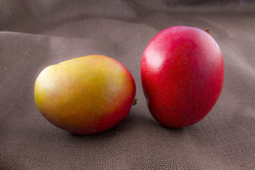 Mango fruit isolated on brown background