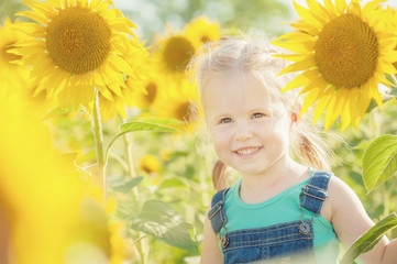 Beautiful girl plays with the sunflowers