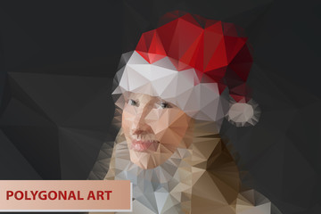 Fototapeta na wymiar Girl in Santa hat. Abstract polygonal face. Triangles portrait