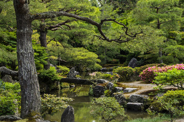 Fototapety  Ogród japoński w świątyni Ginkaku-ji w Kioto, Japonia