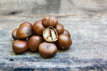 Chestnut on wood background.