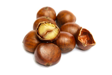 Chestnut isolated on white background.