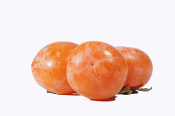 Persimmon