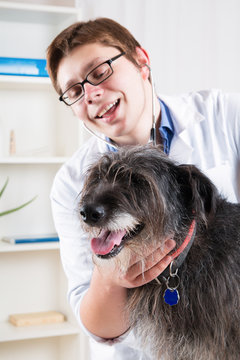 Vet examining a dog with a stethoscope in the office