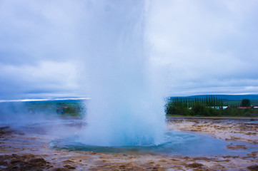 Famous Icelandic Geyser Geysir Strokkur Erupting in Iceland