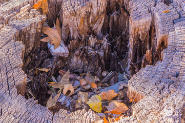 The Many Wonders of Sedona Arizona