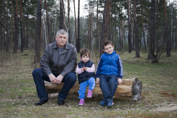 Naklejka na ściany i meble Spring in the pine forest sitting on a log with his grandchildre