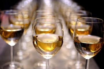 Closeup of glasses of white wine in a row on a table