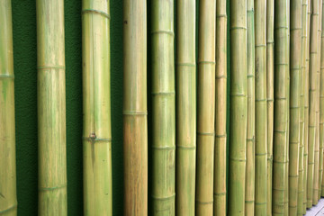 Bambushölzer, aneinandergereiht