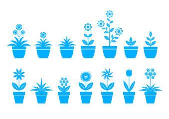 Blue flower icons on white background