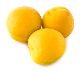 apricots