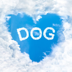 Naklejka na ściany i meble love dog word cloud blue sky background only