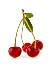 cherry