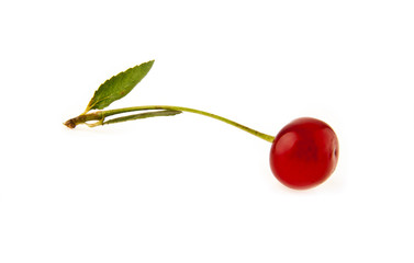 Obraz premium cherry