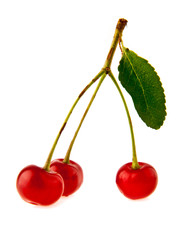 cherry
