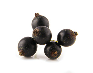 currants