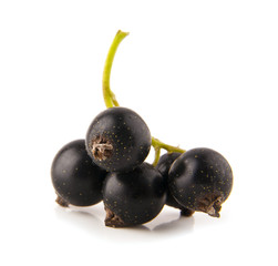 currants