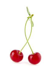 the cherry