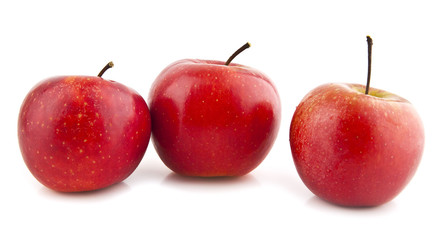 apples
