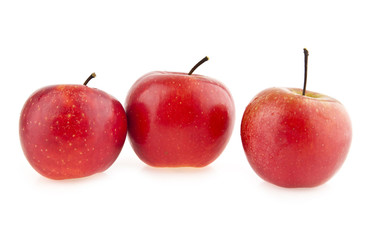 apples
