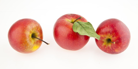 apples